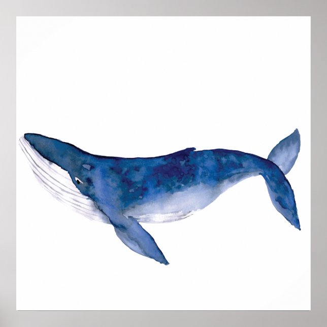 Póster Ballena acuarela (Frente)