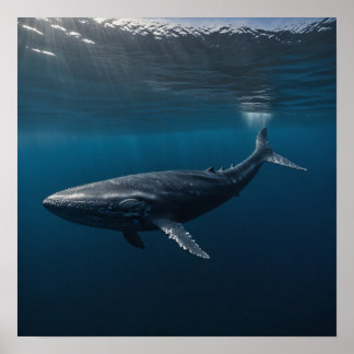 Póster Ballena Azul Natación Subacuática