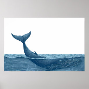 Póster Ballena en el océano Pequeña