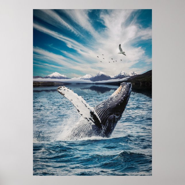 Póster Ballena oceánica (Frente)