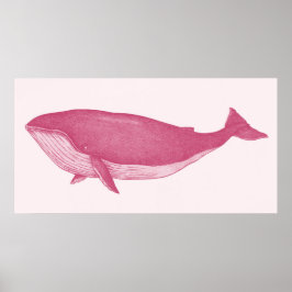 Póster Ballena rosa