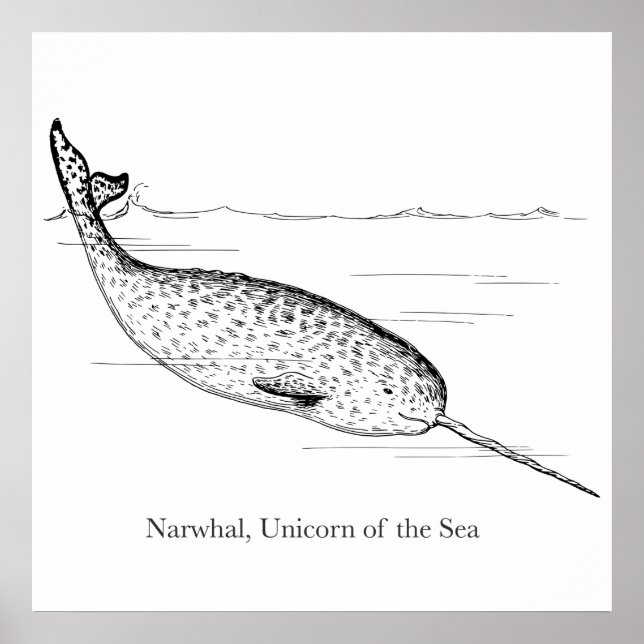 Póster Ballena Unicornio Narval del Mar (Frente)