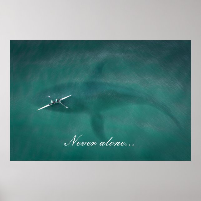 Póster Ballenas en barco: Nunca solos en el mar (Frente)