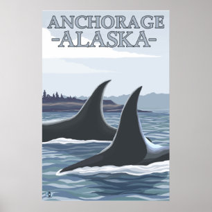 Póster Ballenas Orcas #1 - Anchorage, Alaska
