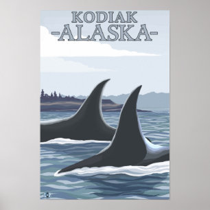 Póster Ballenas Orcas #1 - Kodiak, Alaska