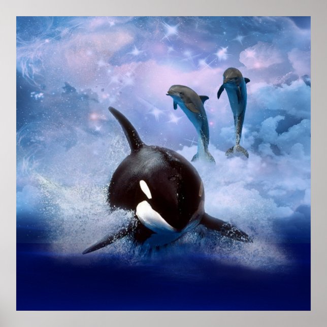 Póster Ballenas y delfines de ensueño (Frente)