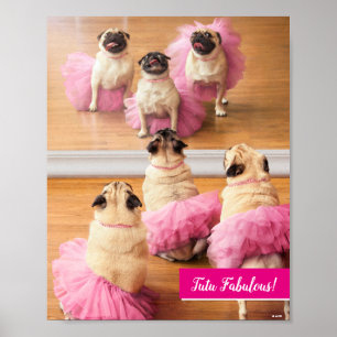Póster Ballerina Pugs En Tutus