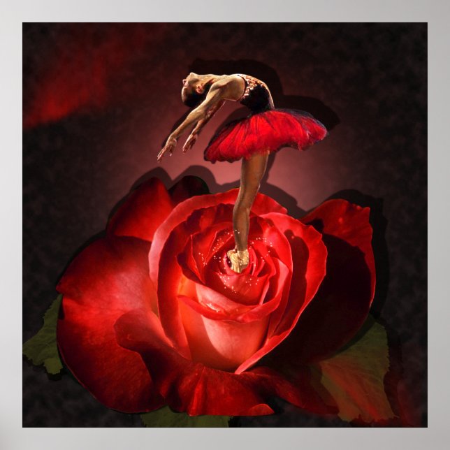 Póster Ballerina Rosa - Poster (Frente)