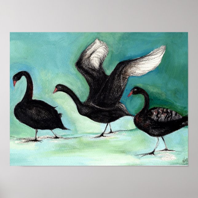 Póster Ballet de cisnes negros 2013 (Frente)