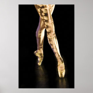 Póster Ballet Poster-4204