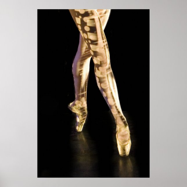 Póster Ballet Poster-4204 (Frente)