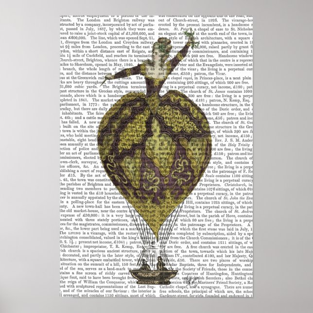 Póster Balón de aire caliente (Frente)