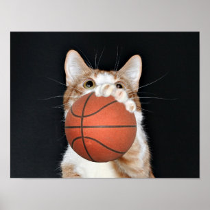 Póster Baloncesto de gato