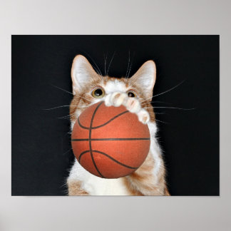 Póster Baloncesto de gato