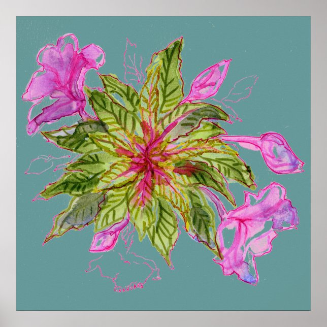 Póster Balsam Bouquet (Frente)