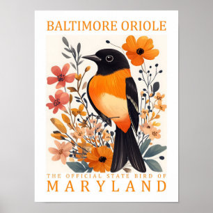 Póster Baltimore Oriole Bird of Maryland USA Travel
