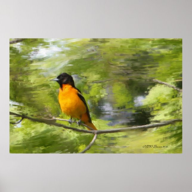 Póster Baltimore Orioles DayDream (Frente)