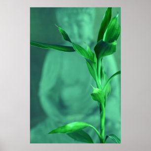 Póster Bamboo Buda