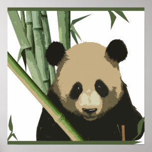 Póster Bamboo Panda