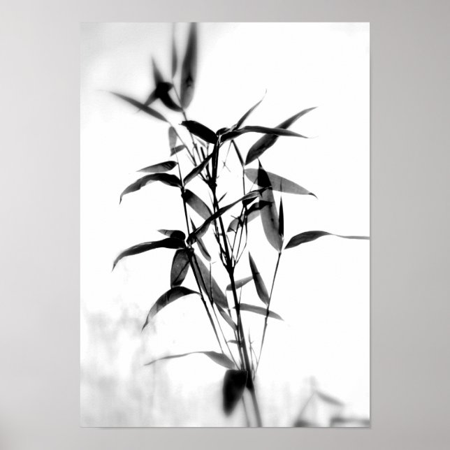 Póster Bamboo Sillouette (Frente)