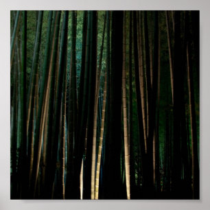 Póster Bambú alto en la noche