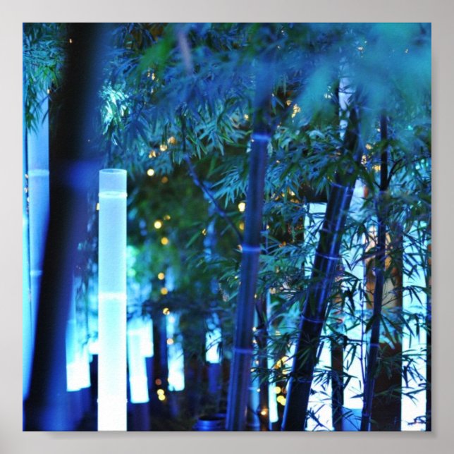 Póster Bambú iluminado. Tokio, Japón. (Frente)