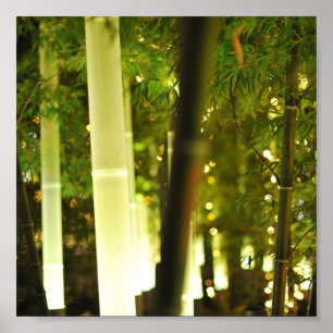 Póster Bambú iluminado. Tokio, Japón.