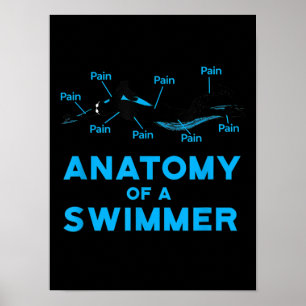 Póster Bañador Regalos Anatomía De Un Nadador
