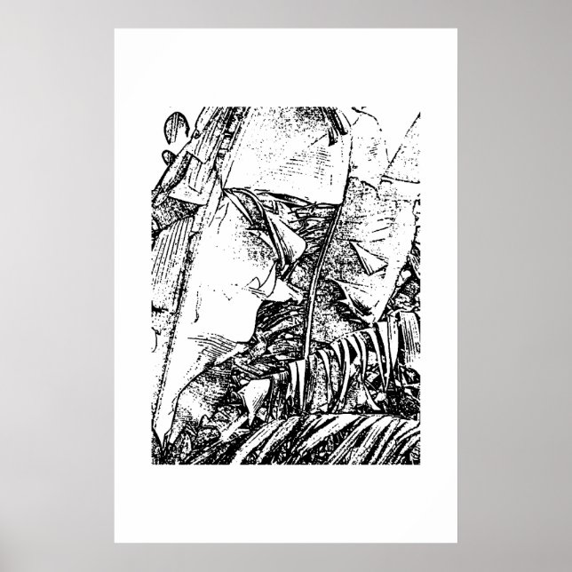 Póster Banana Fronds (Frente)