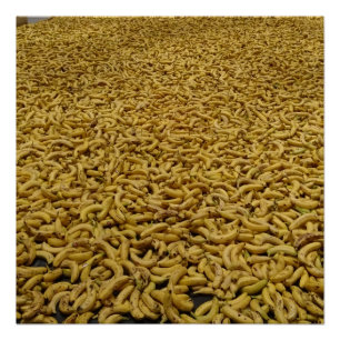 Póster Banana Republic 20" x 20",Papel Poster,Semi-Gloss