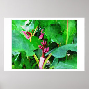 Póster Banana rosa, terciopelo rosa Musa, pintura al óleo