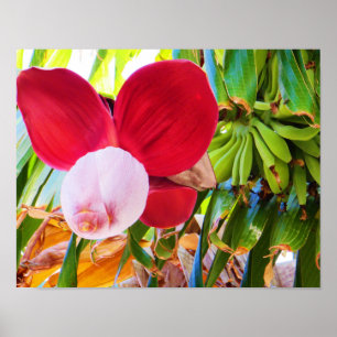 Póster Banana Tree Bliss