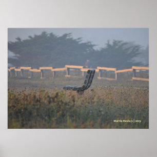 Póster Banca con vista