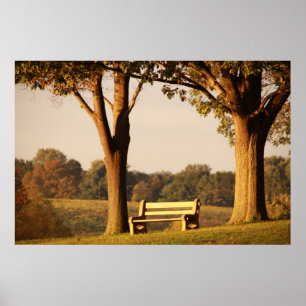 Póster Banco al atardecer