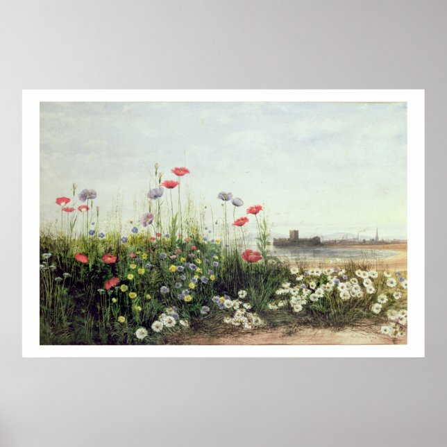 Póster Banco de flores de verano (Frente)