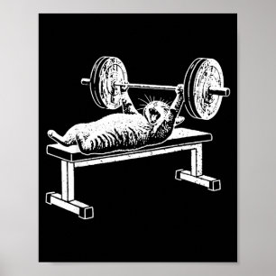 Póster Banco de prensa de gato divertido en el gimnasio m