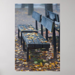 Póster Banco del parque en una mañana brumosa, Alemania