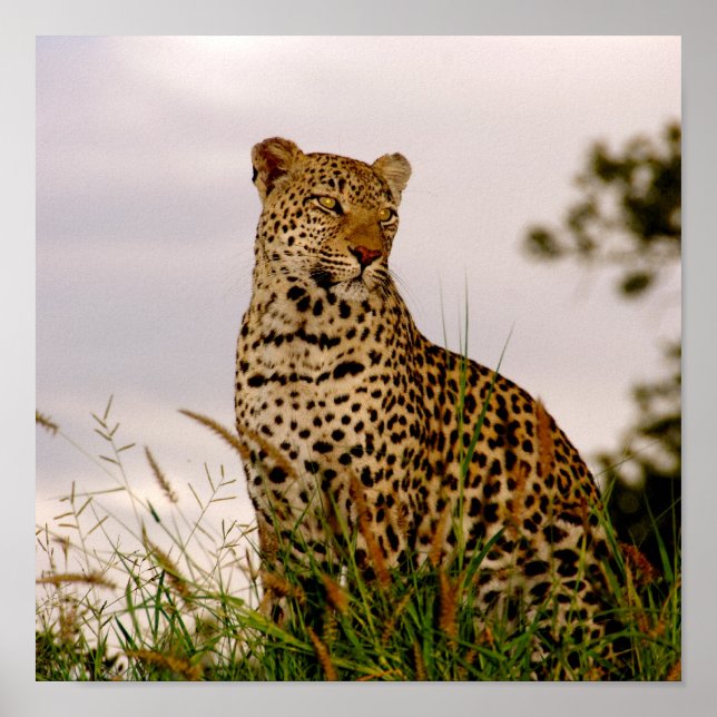 Póster Banco del Río Dudley (Frente)