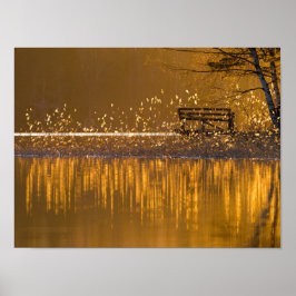 Póster Banco solitario junto al lago en la luz dorada