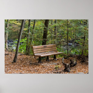 Póster Banco Tranquilo en el Bosque de Otoño