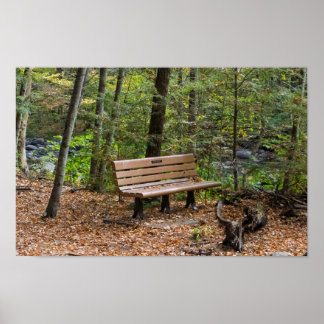 Póster Banco Tranquilo en el Bosque de Otoño
