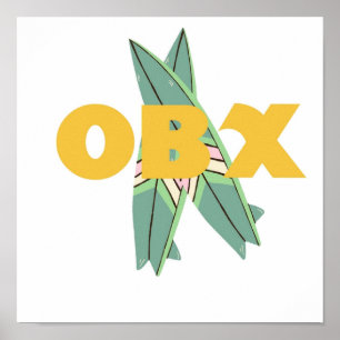 Póster Bancos externos de la vida de pogue de OBX