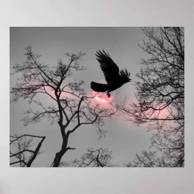 Póster Banda de cielo rosado (Frente)