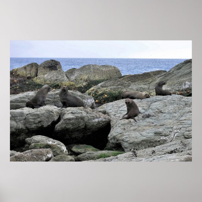 Póster Banda De Sello De Piel (Frente)