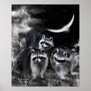 Póster Bandas Nocturnas Poster/Imprimir