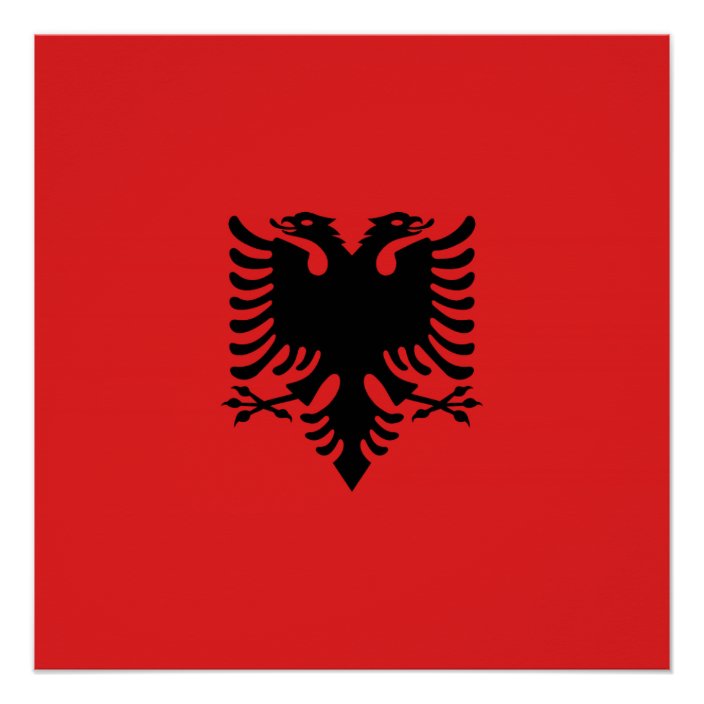 Póster Bandera albanesa con águila de dos cabezas Zazzle.es Póster Bandera albanesa con águila de dos cabezas Zazzle.es