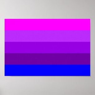 Póster Bandera alternativa del orgullo transgénero