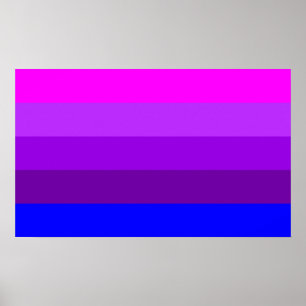 Póster Bandera alternativa del orgullo transgénero
