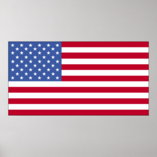 Póster Bandera americana