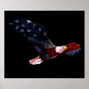 Póster Bandera americana águila calva